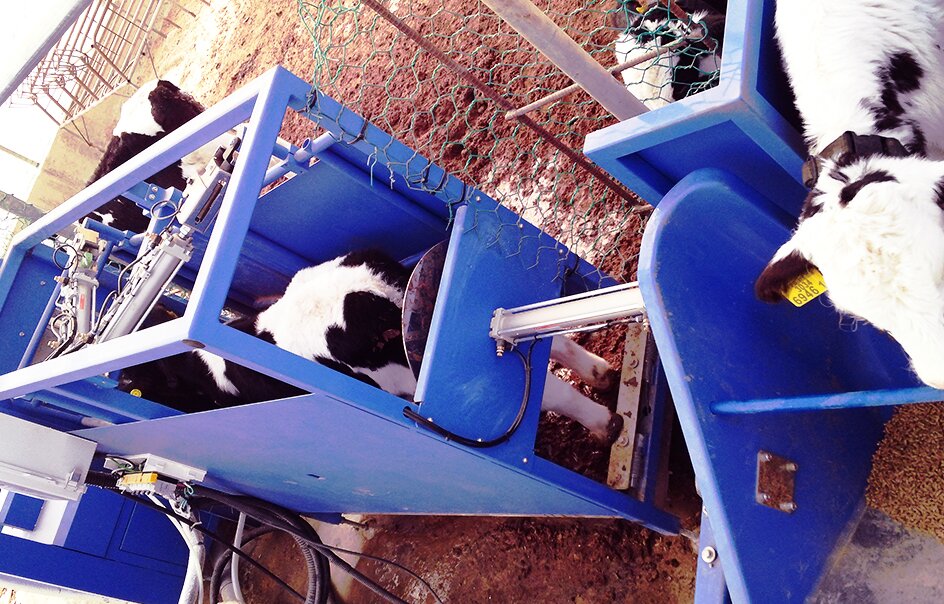 Calf Nutrition Management Robot System