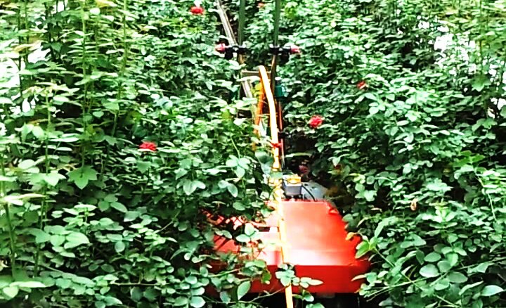 Insect Control Robot for Controlled Agriculture