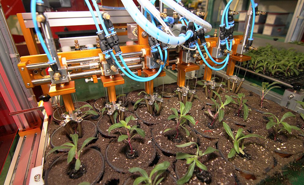 Pot Flower Transplant Robot